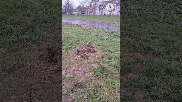 Обидно за Германию | Прогулка с Рольфом | Мы в шоке...