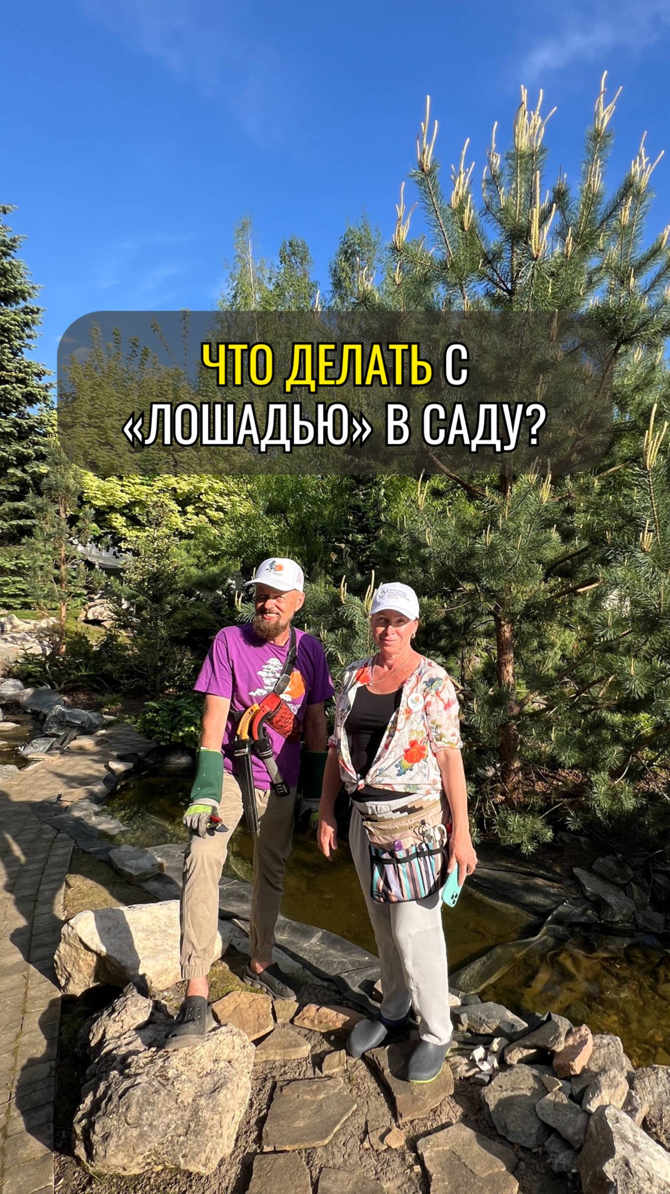 Что делать с «лошадью» в саду?
