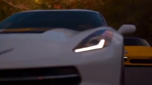 video5312190919502496054_compressed