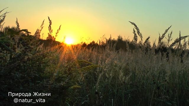 Медитация Осеннее Равноденствие. Медитация для Гармо?