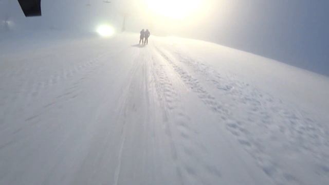 Ежики в тумане