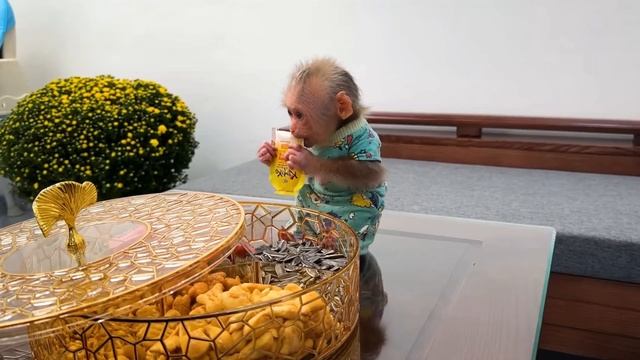 Обезьянка крошка БУКАШКА нашла шоколадные конфеты Поела Перепачкалась Спряталась от папы разукрашенн