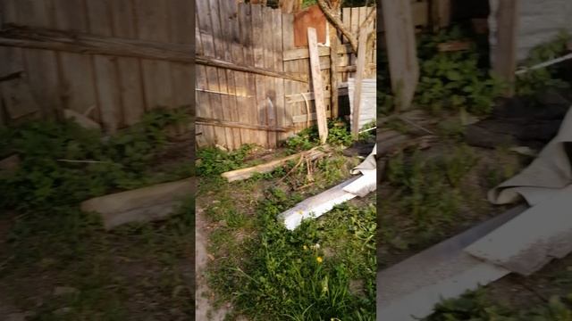 VID_20250529_190928.mp
