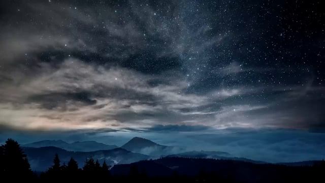 «Я к тебе по делу пришла. Ты должна отписать половину с