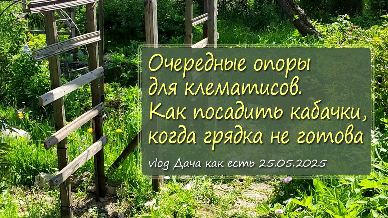 Опять клематисы – посадка и опоры. Сажаю кабачки с выкрутасами / vlog дача как есть 25.05.2025