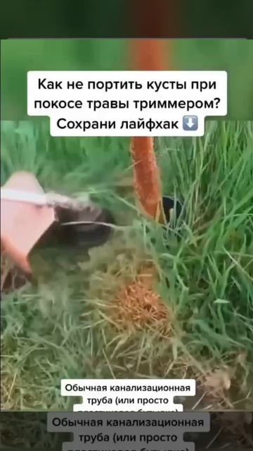 Как косить траву, не повреждая деревья.
