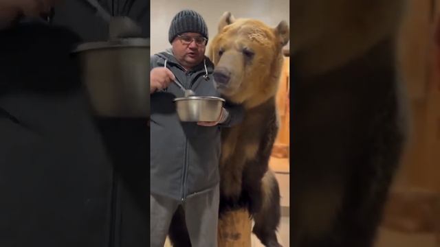 Русский медведь