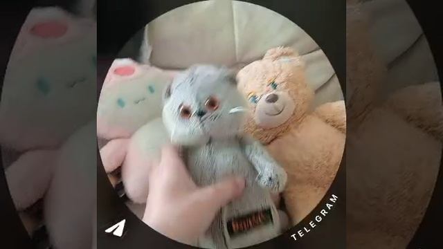 Теперь мы все вместе ❤️