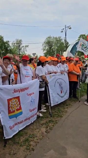 #прямосейчас в парке Сестрорецкий - ежегодная межокружная встреча любителей скандинавской ходьбы!