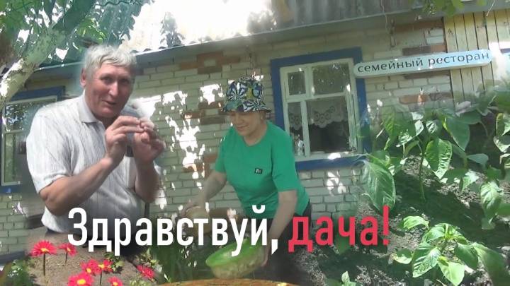 Здравствуй дача, как ты тут без меня ??Провожу осмотр. #михалычдачник