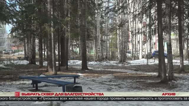 Выбрать сквер для благоустройства 28.05.2025