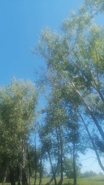Природа 🌳🌳🌳