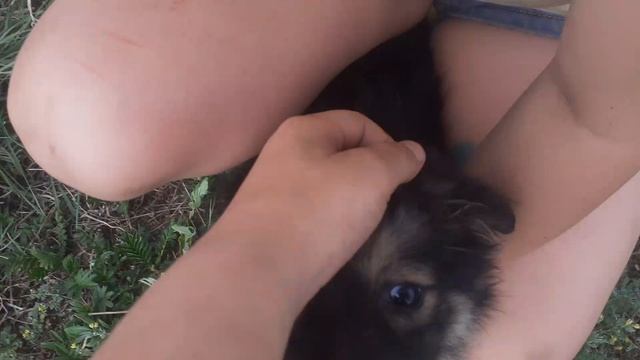 Знакомство с тубикешай-тубик-тупик.