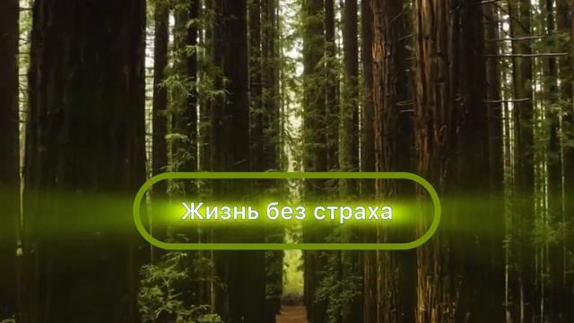 Исцеление тела и ума: Медитация на частоте 432 Гц🙏❤️