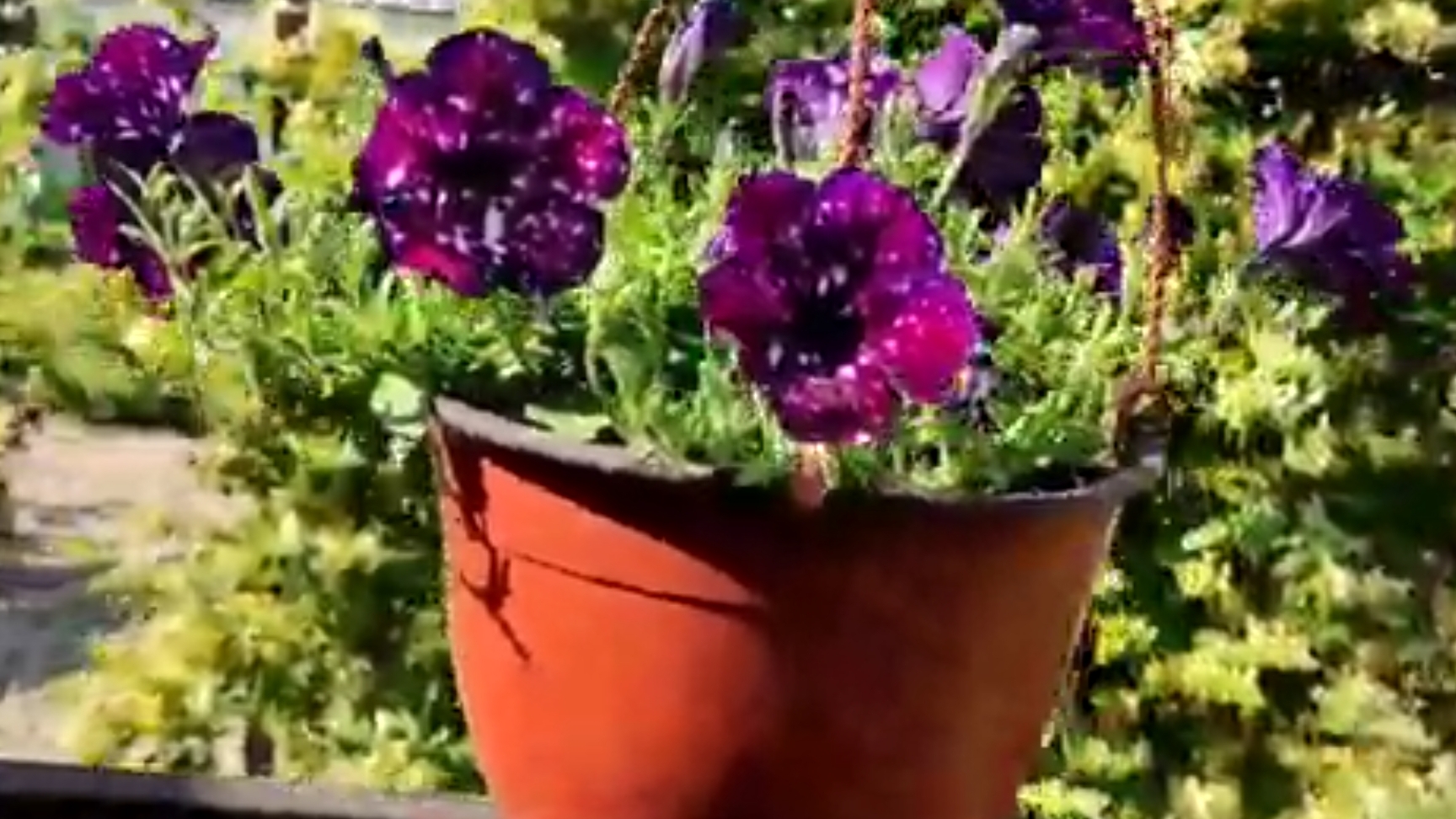 🌳Раньше было всё по другому🌷🌻🌹🌳..Всё меняется🫣