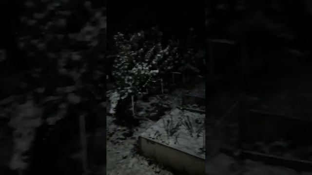 Сибирь.