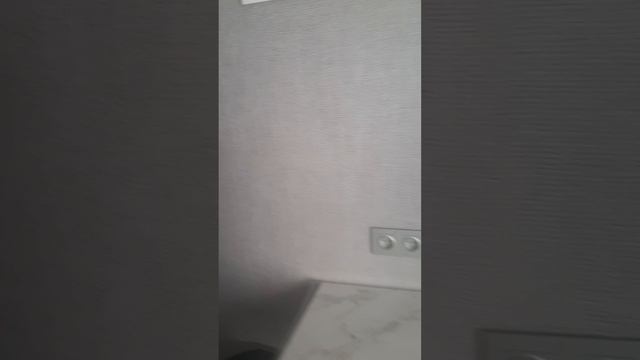 20250529_074446.mp4