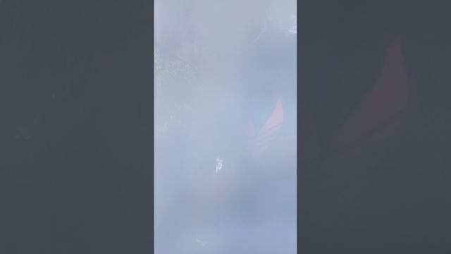 к.в.д не хейтите их!!!😠