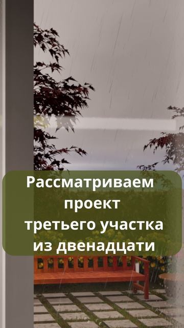 3 участок из 12 уже в профиле. Смотрите, подписывайтесь #садоводничество #ландшафтныйдизайн #дача