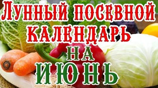 🍅ЛУННЫЙ ПОСЕВНОЙ КАЛЕНДАРЬ НА ИЮНЬ 2025