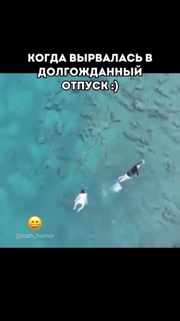 Царевна-лягушка