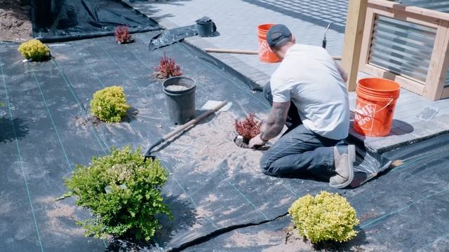 INCREDIBLE DIY Backyard Transformation