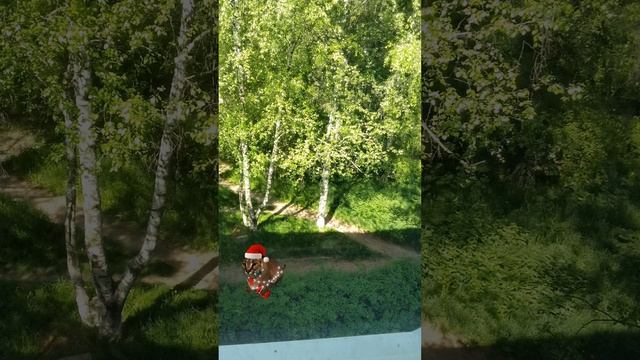 шлёпа 3 серия