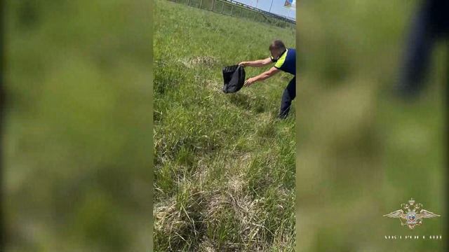 Полицейские спасли группу утят, провалившихся в канализацию в Подмосковье