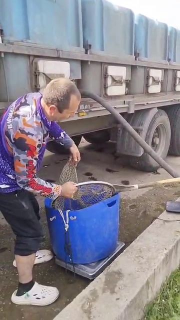 WhatsApp Video 2025-05-29 at 15.46.43