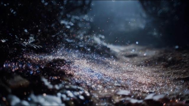 Stardust