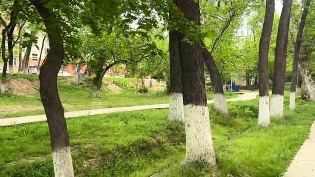 ТАШКЕНТ!!! СУМАСШЕДШИЕ ЦЕНЫ НА КВАРТИРЫ 2025 ГОД???!!Гуляю
