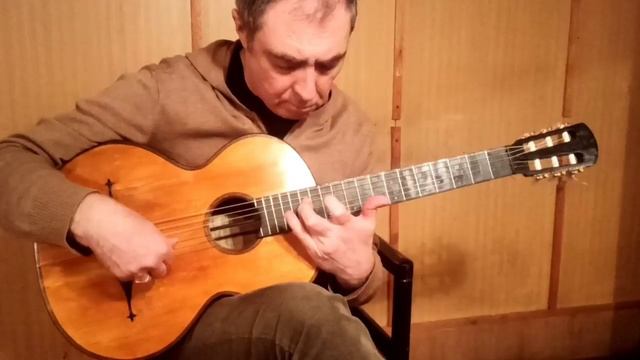 Guitar J.G.Scherzer 1868.