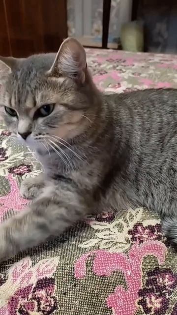 Скучно стало, чем бы мне заняться...