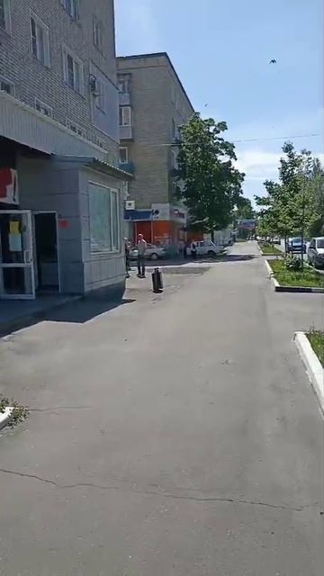 VID-20250529-WA0005.mp4