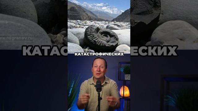 Доказательство всемирного потопа и достоверности Библии