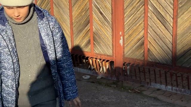 😱 Мама трьох на вихідні / Криза 1,5 роки / Йога для мам / ?