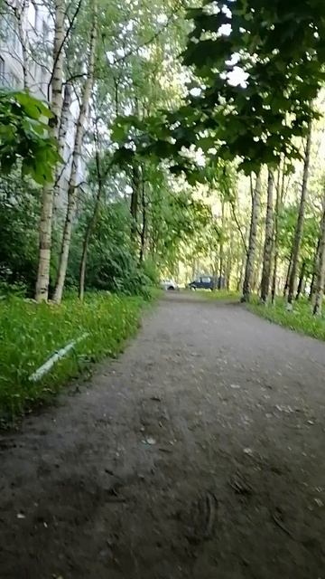 Дворы Невского района