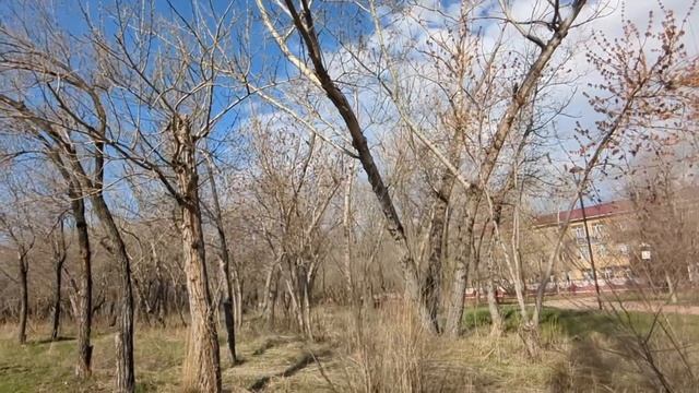 Муженёк, почему твоя мать приехала с чемоданами и заяв
