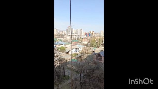 16 этаж 17 этаж тиреза шуви😱😱
