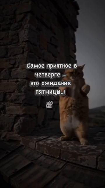 😂Хорошего вечера!