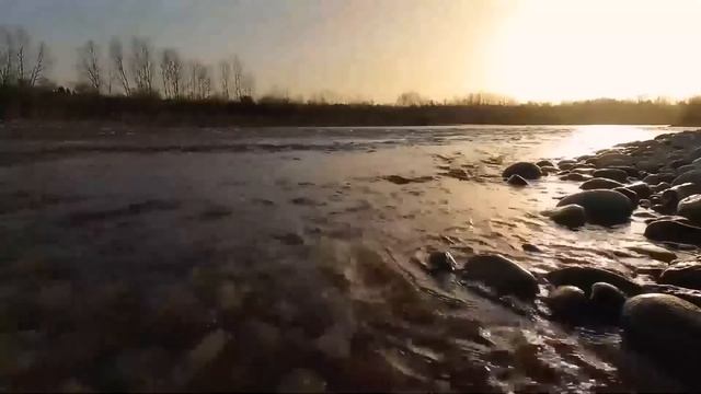 Сынок, твоя сестра в квартире без ремонта живет, а ты ж?