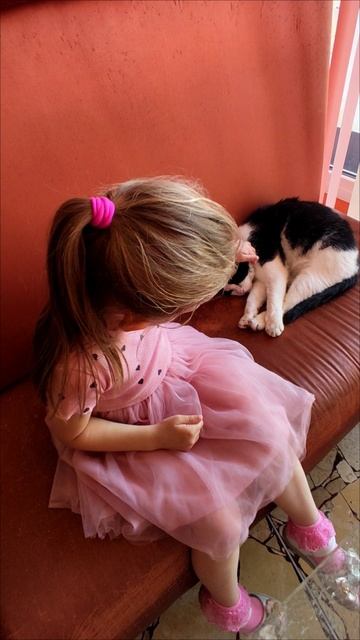 😻☺