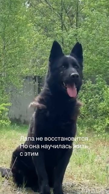Оливия