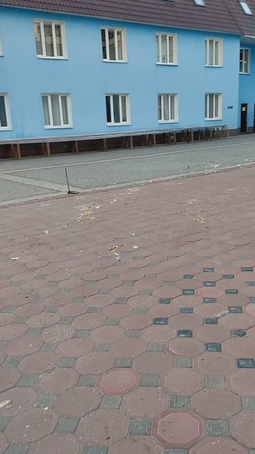 1000168209.mp4Крестный путь усыпанный цветами 18.4.25.г 19ч.26.мин