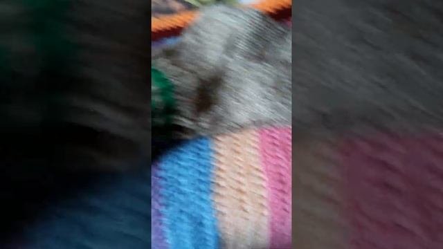 Носки шерстяные для бабушки,бабушка довольна.