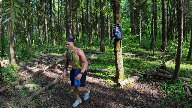 стою на руках в лесу. oh my god herman