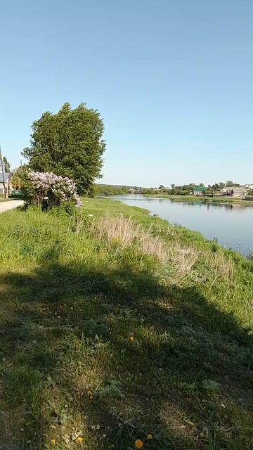 Река Пышма село Курьи
