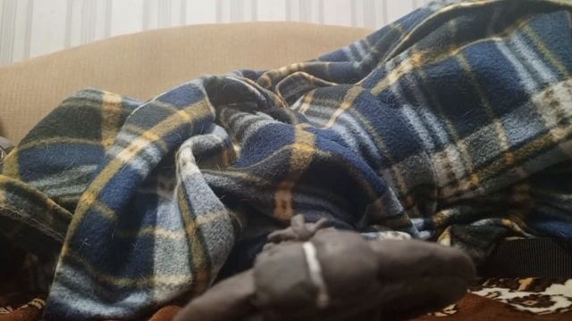 Астро тойлет материнский корабль из пластилина