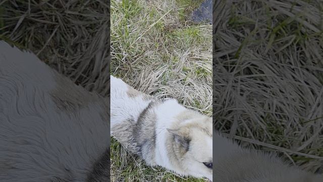 1000067215.mp4
