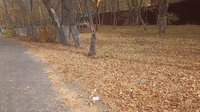 Отдавай немедленно. Это моё наследство! - брат вытолкн?